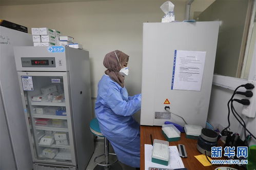 行天下之大道，匯眾志而致遠 戰疫中的‘一帶一路’與海外中企彰顯全球公共產品價值